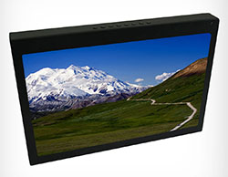FD171CV 17.1" LCD Display
